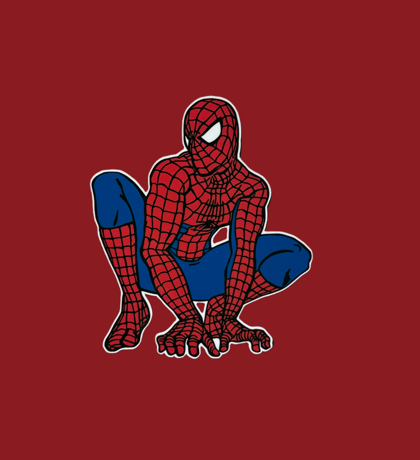Spider Hero